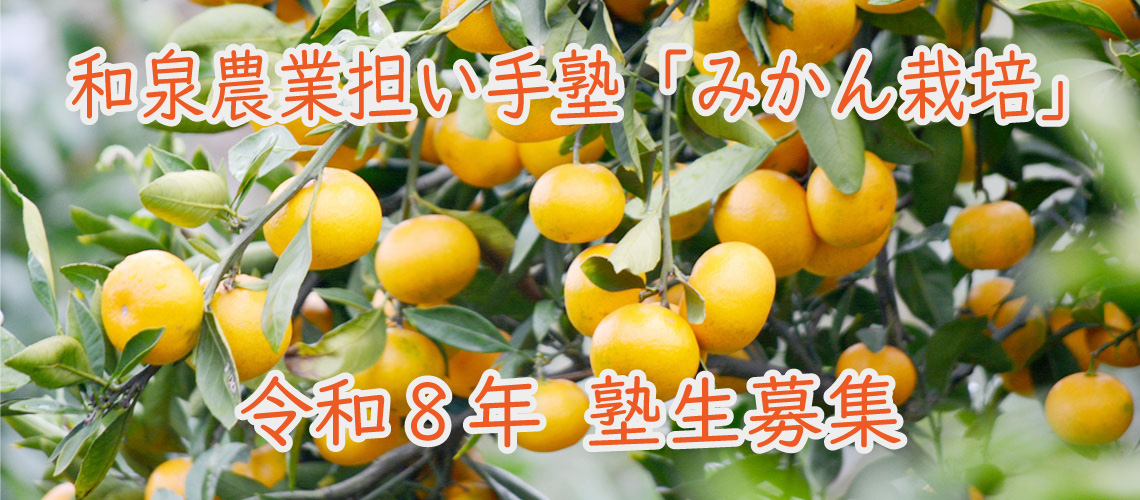 みかん担い手塾