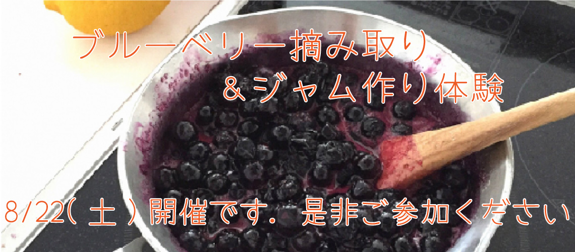 ブルーベリー摘み取り＆ジャム作り