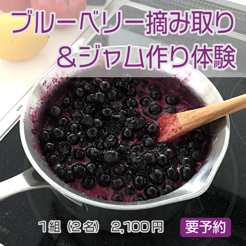 ブルーベリー摘み取り＆ジャム作り